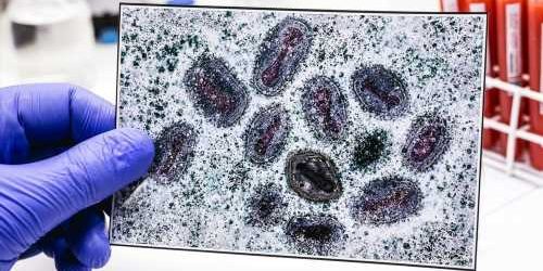 A slight increase in Mpox cases across the globe, along with an increase in deaths