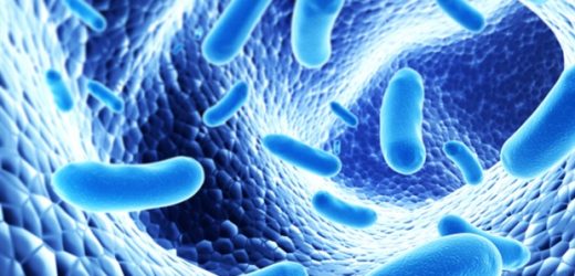 Annual or biannual boosters greatly reduce the long-term risk of infection from endemic COVID-19