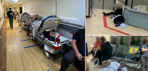 Broken NHS: Grandma begs family to let her die after 33-hour wait