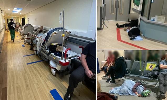 Broken NHS: Grandma begs family to let her die after 33-hour wait