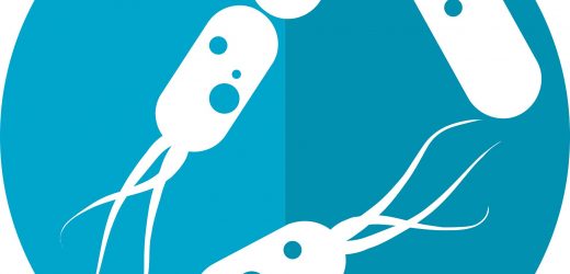Differences in gut microbiome linked to risk of death in COVID-19 patients with respiratory failure