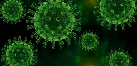 Does COVID change the body’s response to other threats? Depends on your sex