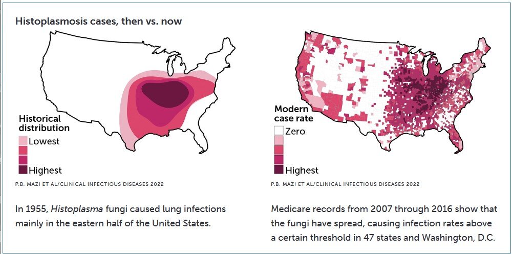 Fungi that cause serious lung infections are now found throughout the US