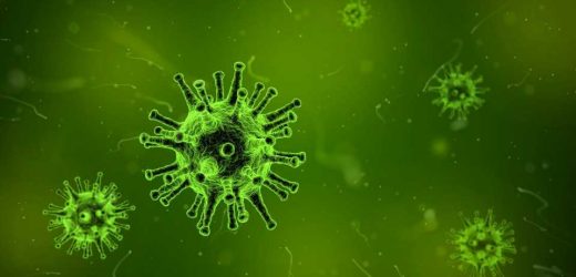 New technique to detect extremely small numbers of virus cells