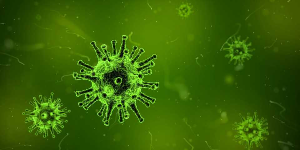 New technique to detect extremely small numbers of virus cells
