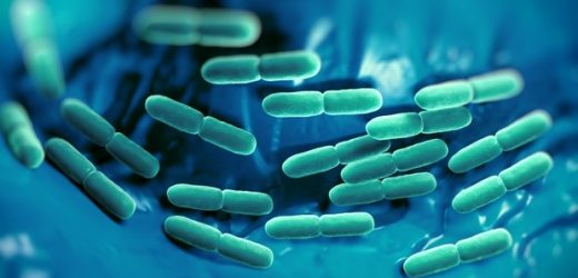 PLK1-mTOR axis may be a promising therapeutic target for sepsis, study suggests