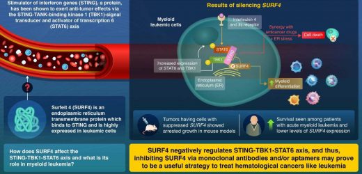 Researchers uncover novel gene that regulates leukemia development and progression