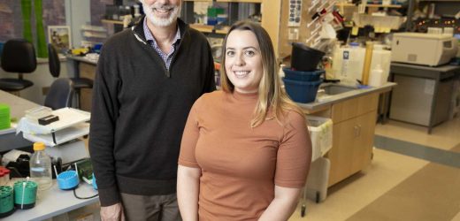 Study identifies potential new approach for treating lupus