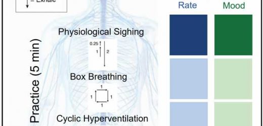 Study shows cyclic breathing technique more effective in reducing stress than mindfulness meditation