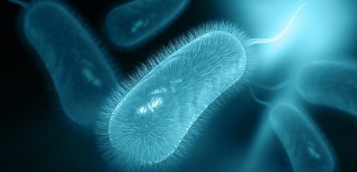 The efficacy of clarithromycin versus levofoxacin-based regimens for H.pylori treatment in naïve patients after the COVID-19 pandemic misuse of antibiotics