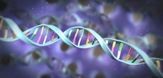 The loss of epigenetic information accelerates the aging process