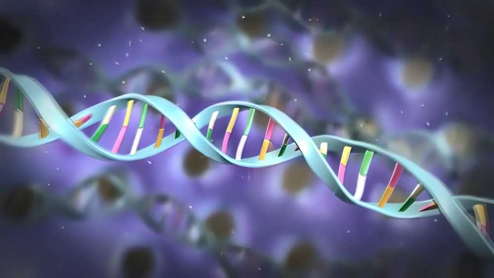 The loss of epigenetic information accelerates the aging process