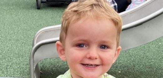 Toddler living in mouldy flat hospitalised with pneumonia