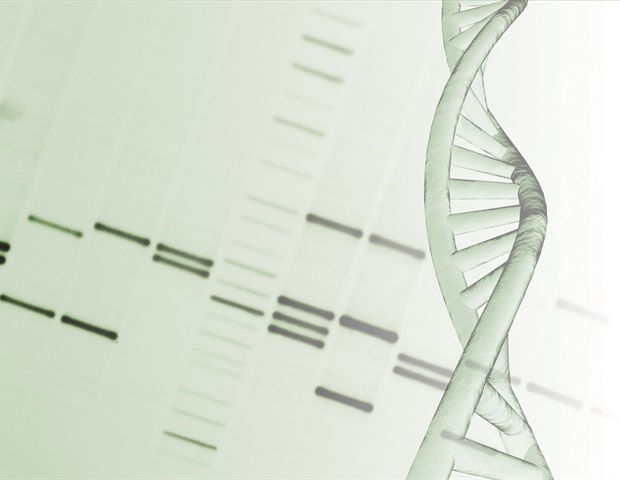 Unique mass spectrometry-based approach to study specific changes in DNA after replication