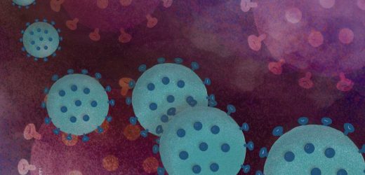 Vaccine and prior SARS-CoV-2 infection confer long-lasting protection against omicron BA.5