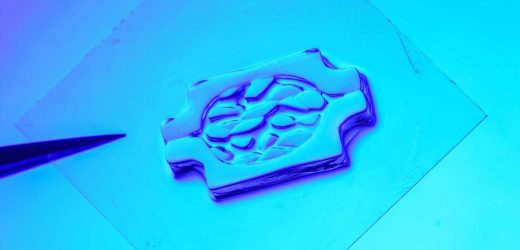 A new technique creates greater fidelity in bioprinting functional human tissues