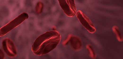 Blood cancer manipulates immune cells in order to survive, study shows