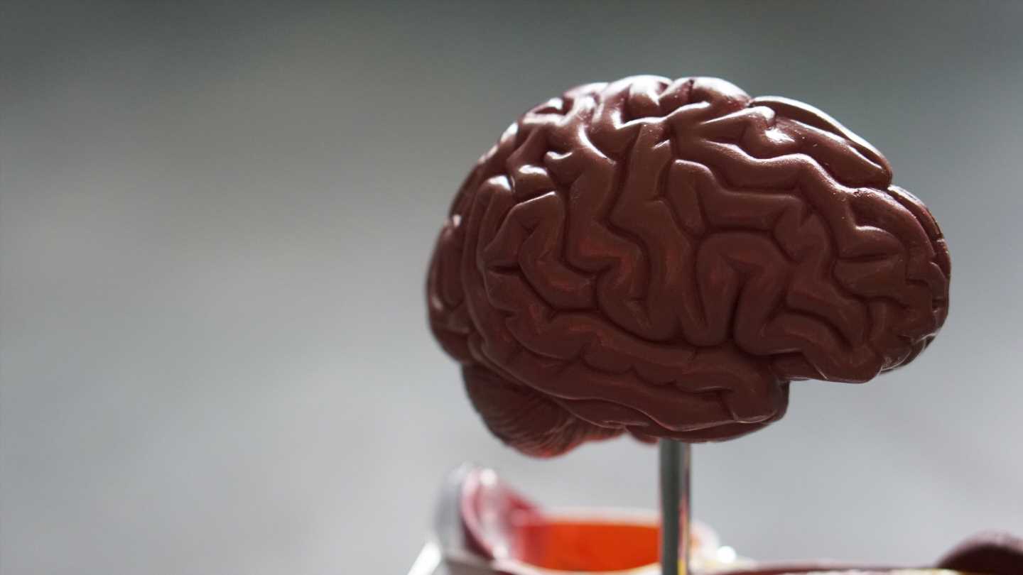 Cocaine addiction makes the brain age faster, suggests study