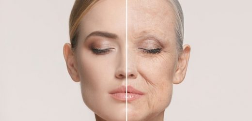 Five Alarm Bio, Focused on Minimising the Effects of Aging in Humans, Raises Seed Investment