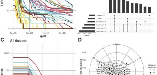 Gender and age differences found in gene expression related to circadian clock