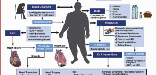 How obesity makes it harder to diagnose and treat heart disease