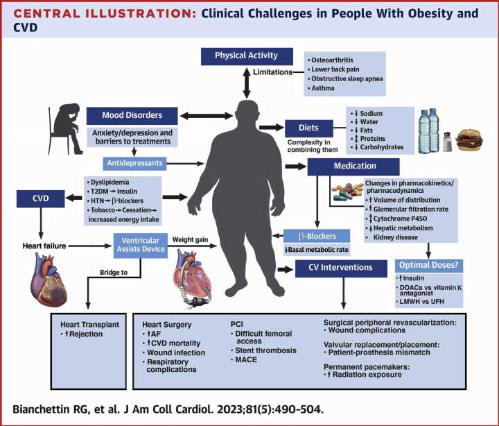 How obesity makes it harder to diagnose and treat heart disease
