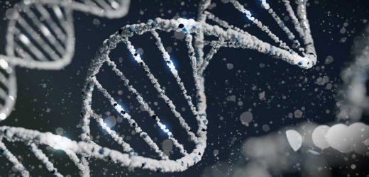 How random processes and epigenetics can explain why tumor cells shapeshift, metastasize and resist treatments