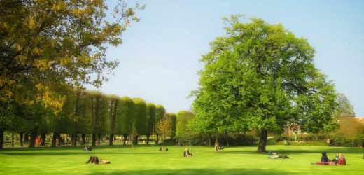 Is living close to parks and water better for your brain?