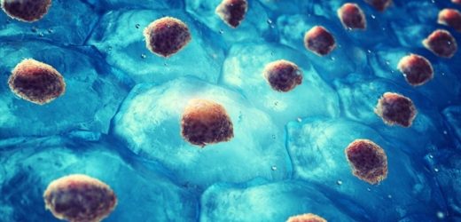 Lymphatic vessels may be a previously unrecognized source of blood cells