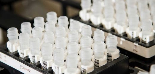 Study finds 41% of infant deaths associated with genetic diseases