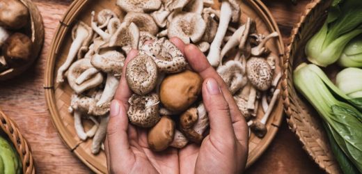 The mushroom that could ‘protect’ you from Alzheimer’s disease – study