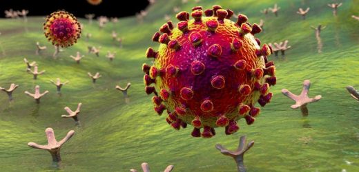 Untreated COVID Often Involves Relapse, Antiviral Rebound Talks