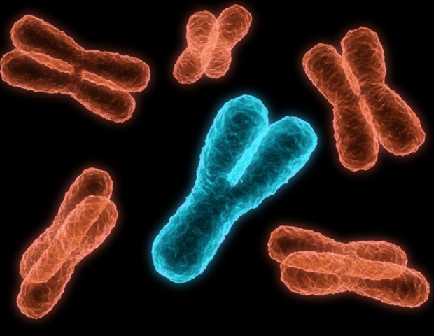 Avanced genome editing technology could be used as a one-time treatment for CD3 delta SCID