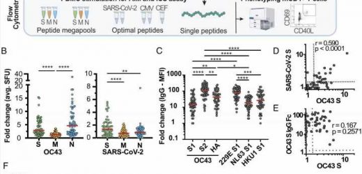 Common cold may give children immunity against COVID-19, reveals study