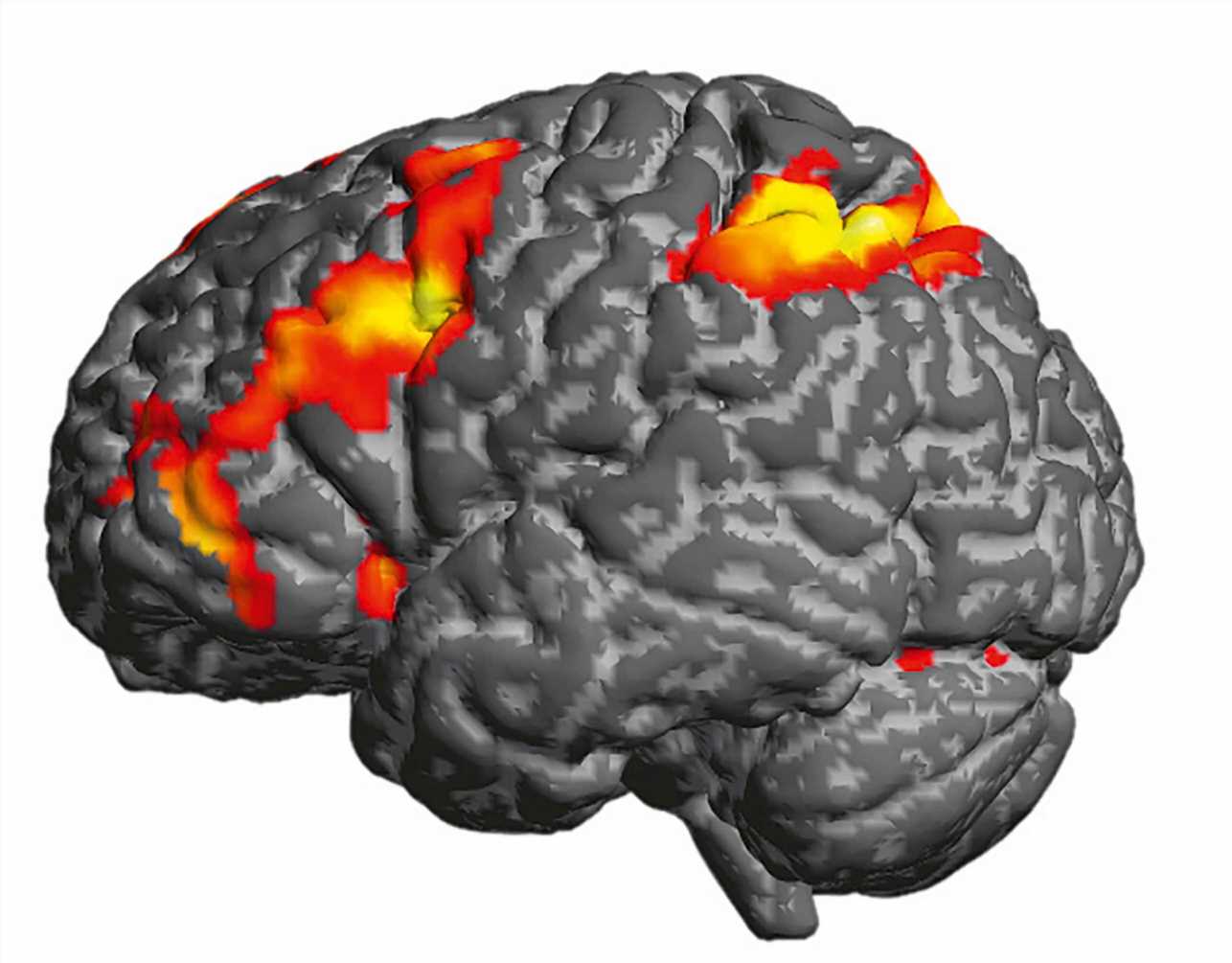 Detecting hidden brain states with mathematical models