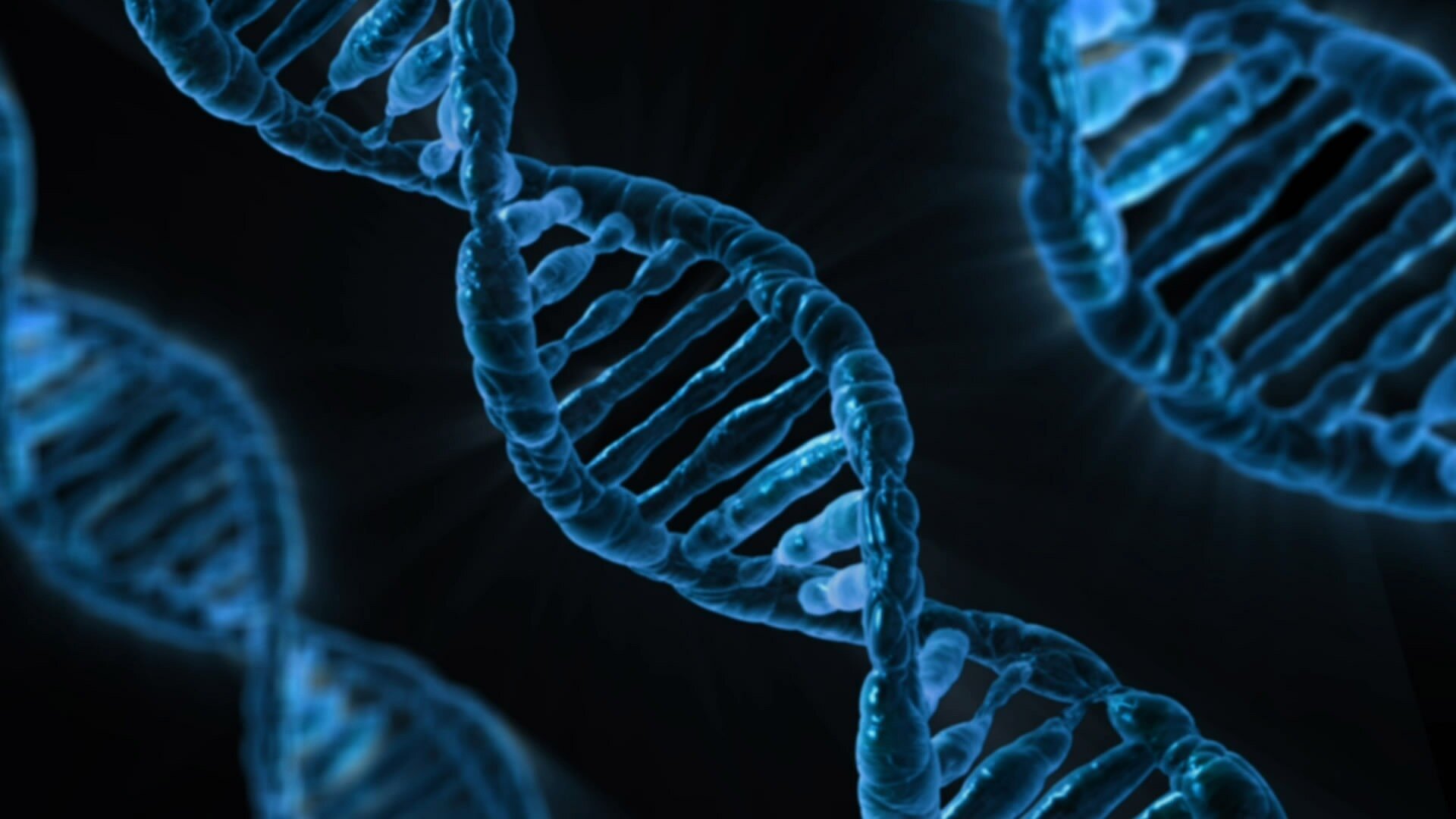 Genes that form specific bones in the womb heal them later in life, finds study