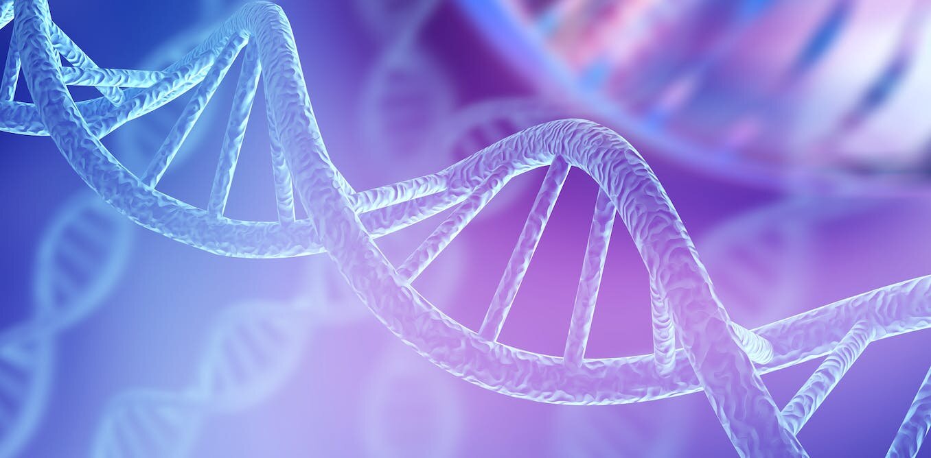 How misplaced DNA could influence disease risk