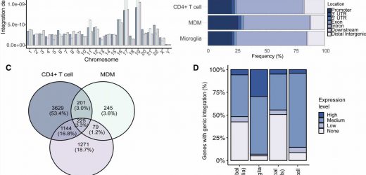 Identifying where HIV sleeps in the brain