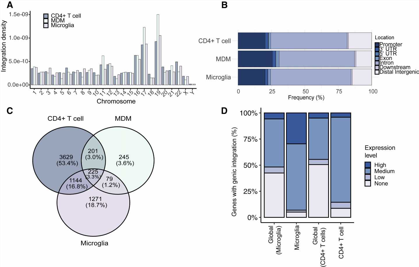 Identifying where HIV sleeps in the brain