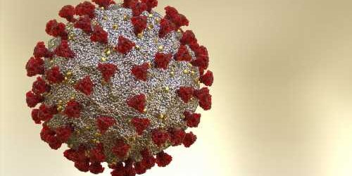 Kinetics of successive SARS-CoV-2 infections