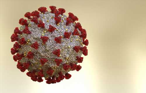 Kinetics of successive SARS-CoV-2 infections