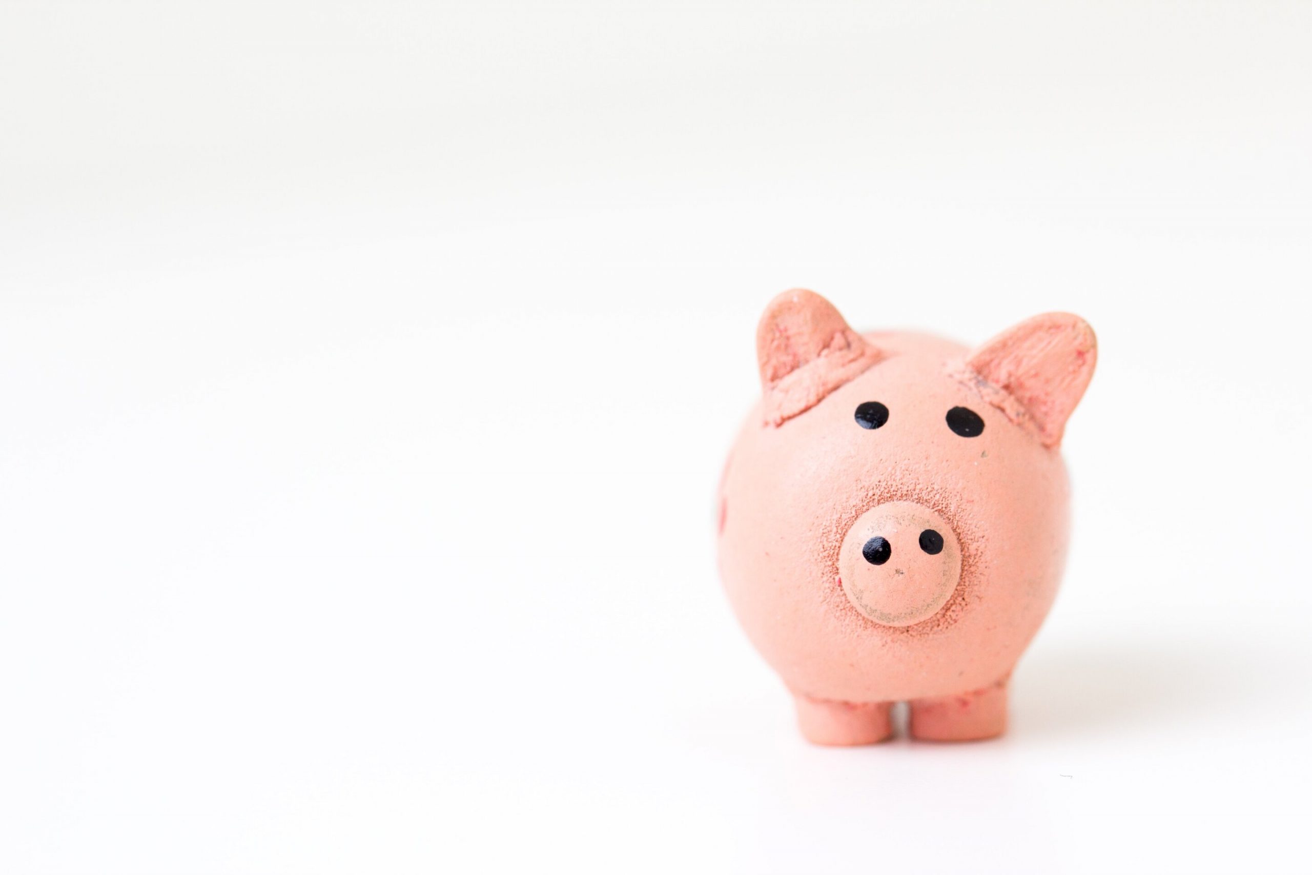 Pigs as organ donors: New findings on the prevention of retrovirus infections