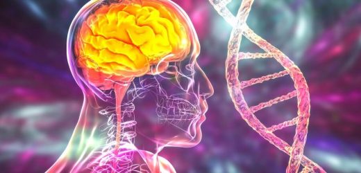 Researchers delve into the mechanisms of hereditary spastic paraplegia