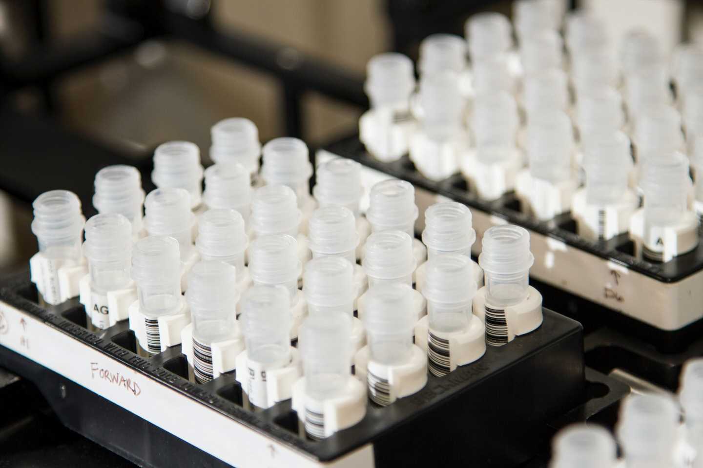 Study identifies two promising molecular targets for drug development in recurrent and metastatic cervical cancer