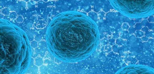 Studying the impact of stem cell transplants