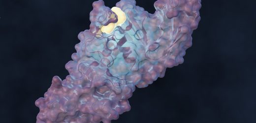 Team designs molecule to disrupt SARS-CoV-2 infection