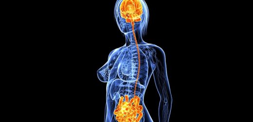 Disrupted Gut Microbiome a Key Driver of Major Depression?
