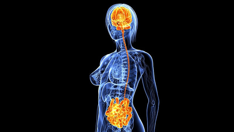 Disrupted Gut Microbiome a Key Driver of Major Depression?