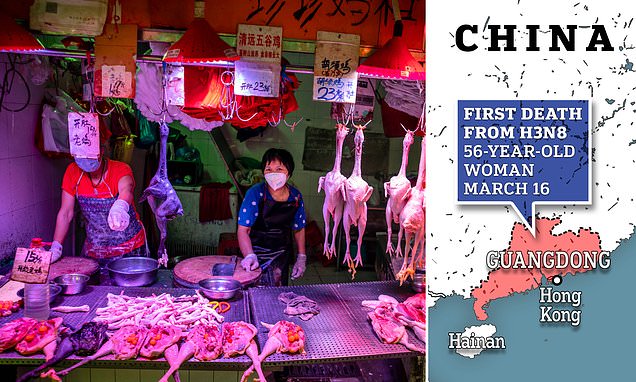 H3N8 bird flu claims first human with the death of a woman in China