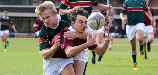 Hit your head while playing sport? Heres what just happened to your brain